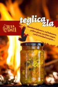 teglica-zla-copy